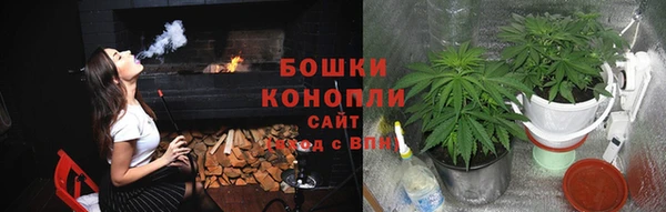 шишки Горнозаводск