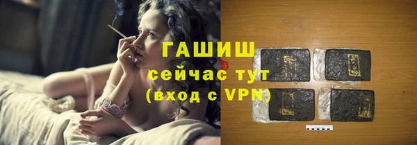 индика Гусев