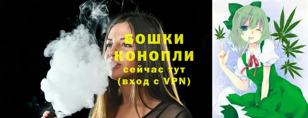 соль курить ск Горно-Алтайск