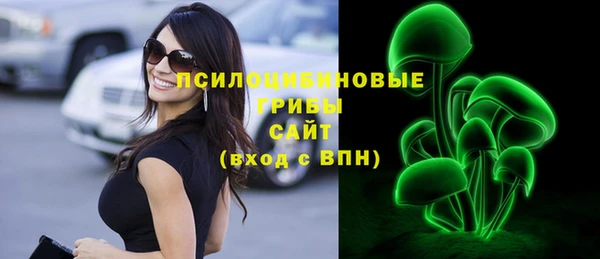 шишки Горнозаводск