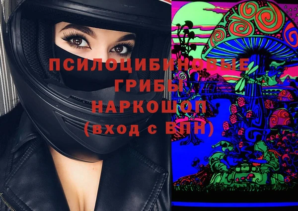 индика Гусев