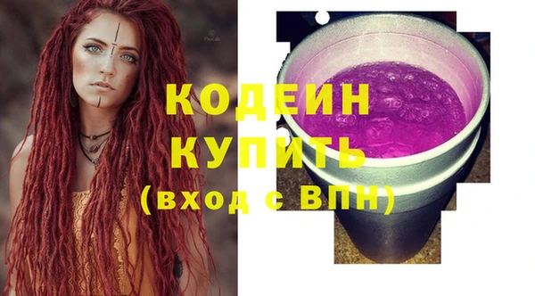 индика Гусев