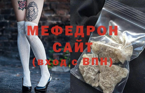 индика Гусев