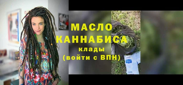 индика Гусев